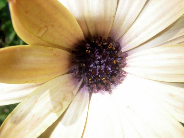 2010 05 24 jeanmarcperfetti.com 021.JPG